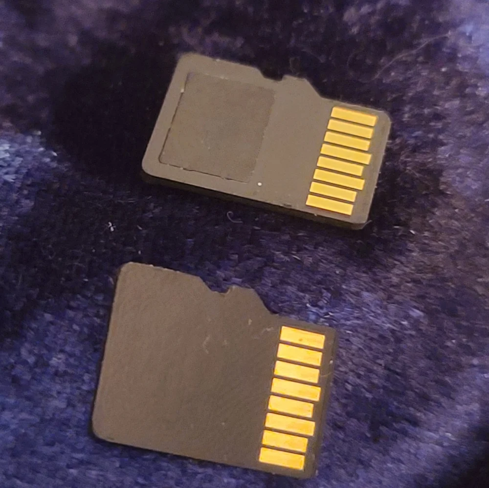 SanDisk 32GB Micro SD Cards